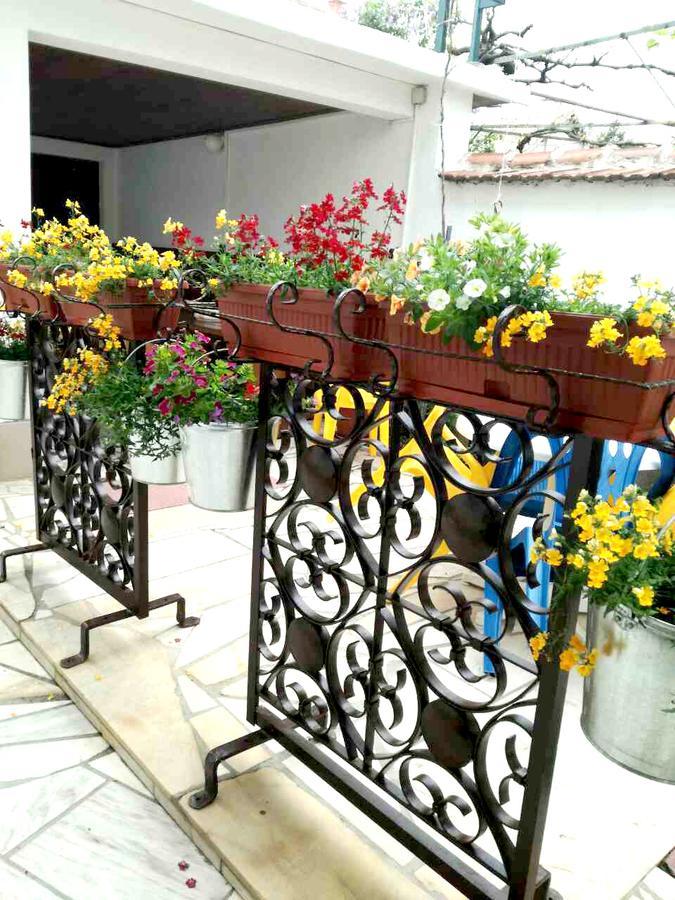 Family Hotel Rose Pavel Banya Dış mekan fotoğraf